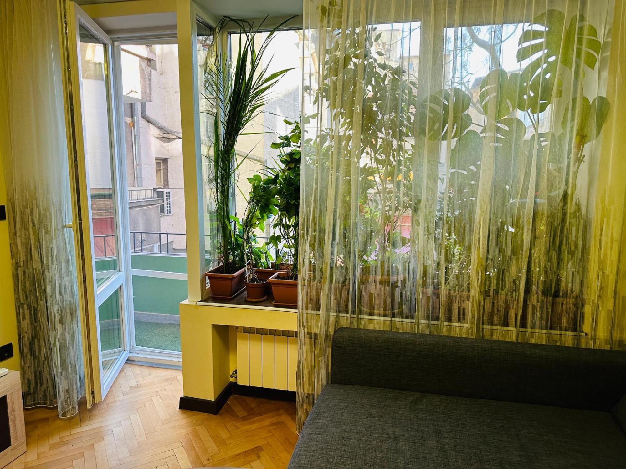 Luxury Oasis In Absolute Center Of Sofia Apartment Екстериор снимка